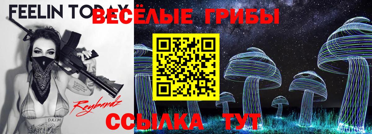 Галлюциногенные грибы Psilocybe Елабуга