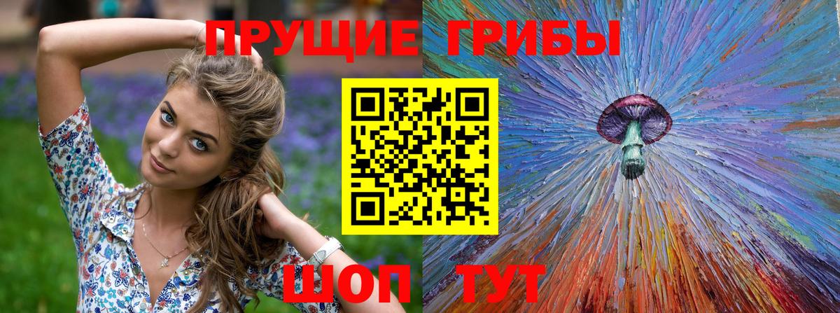Елабуга  хочу   Вход с VPN  Псилоцибиновые грибы ЛСД 